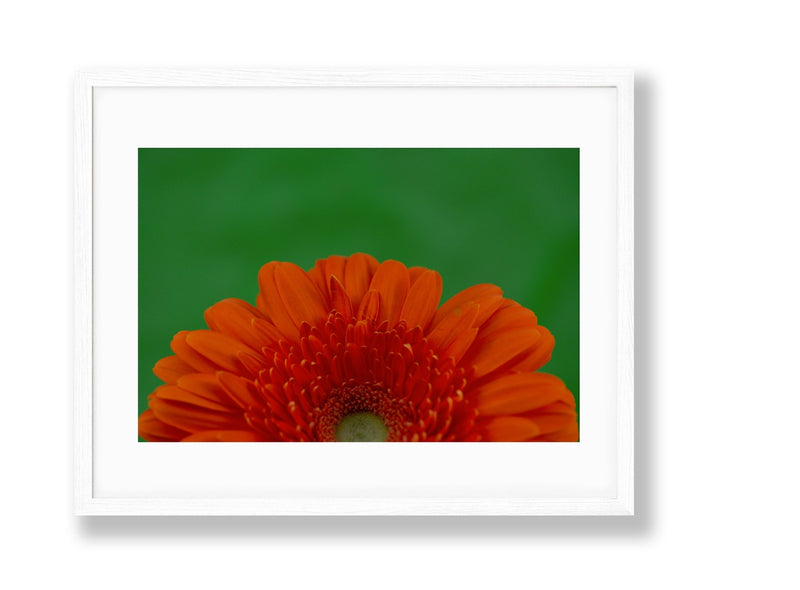 Vibrant | No. 12 - Chelsey Walker Creative