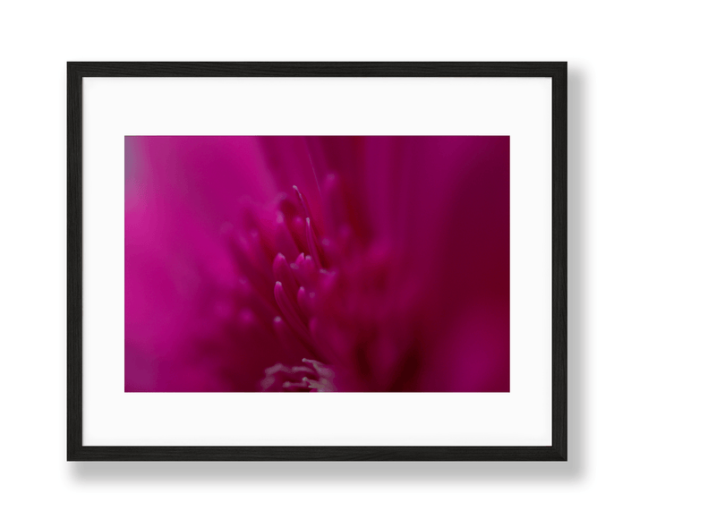Vibrant | No. 16 - Chelsey Walker Creative