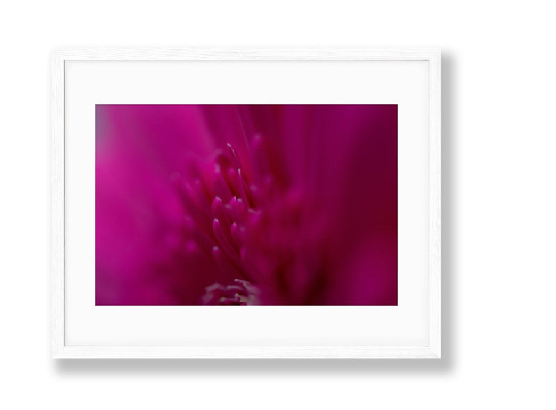 Vibrant | No. 16 - Chelsey Walker Creative