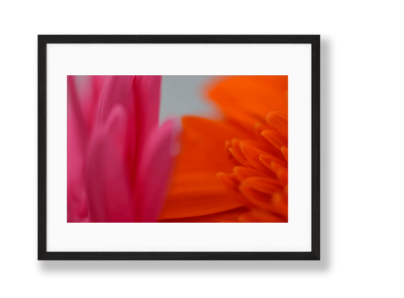 Vibrant | No. 22 - Chelsey Walker Creative