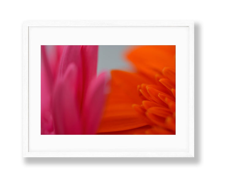 Vibrant | No. 22 - Chelsey Walker Creative