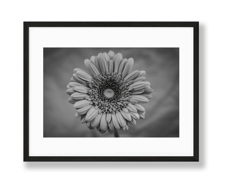 Vibrant | No. 37 - Chelsey Walker Creative