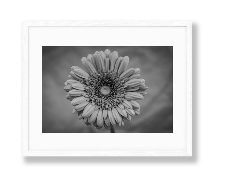 Vibrant | No. 37 - Chelsey Walker Creative