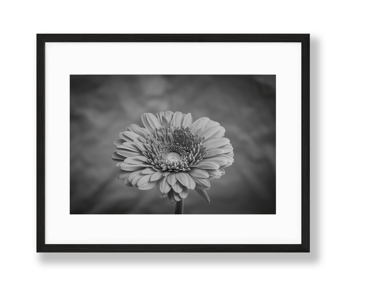 Vibrant | No. 40 - Chelsey Walker Creative