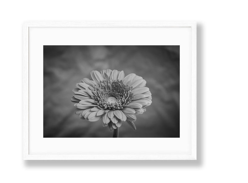 Vibrant | No. 40 - Chelsey Walker Creative